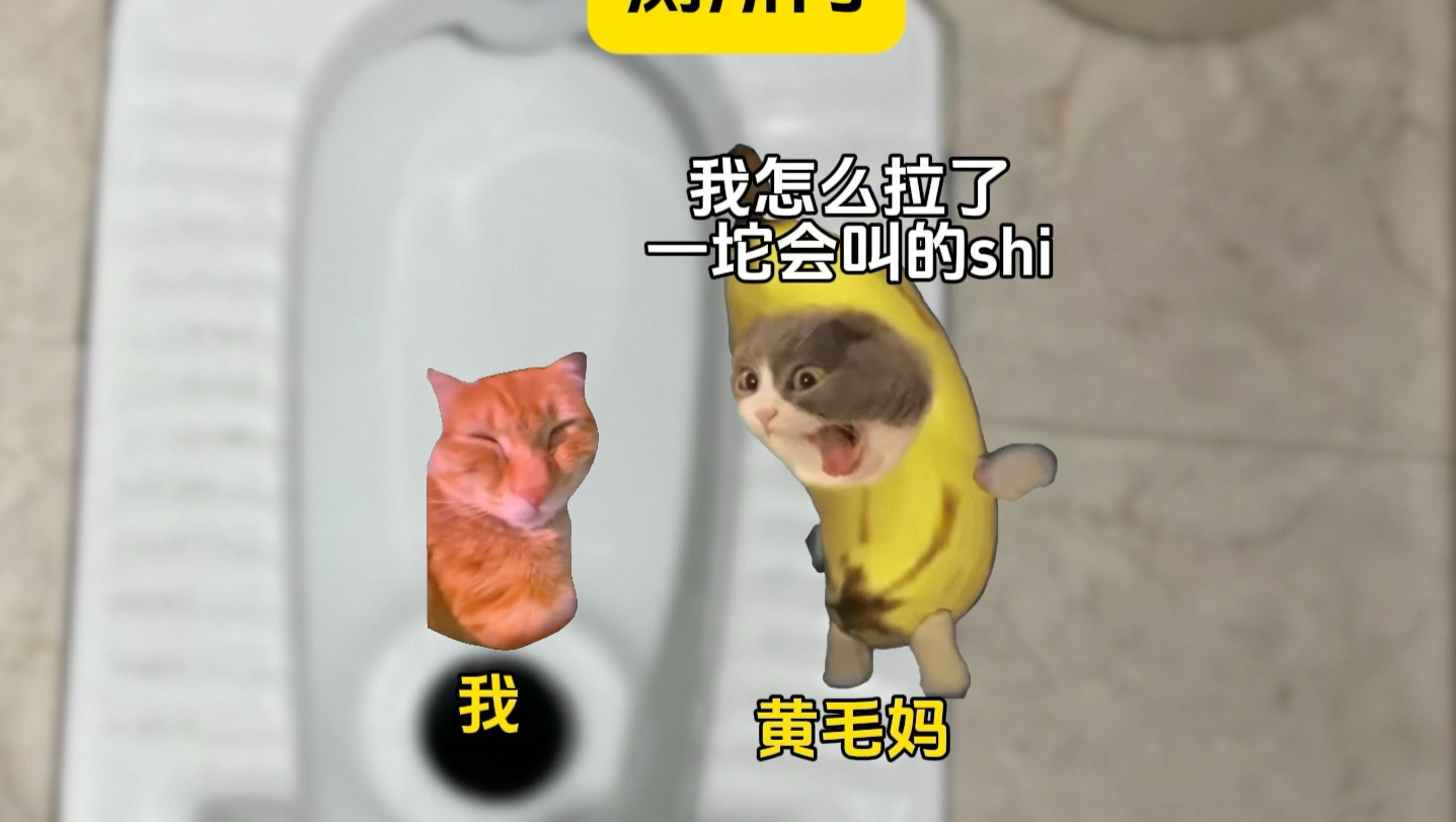 落地职高厕所？！