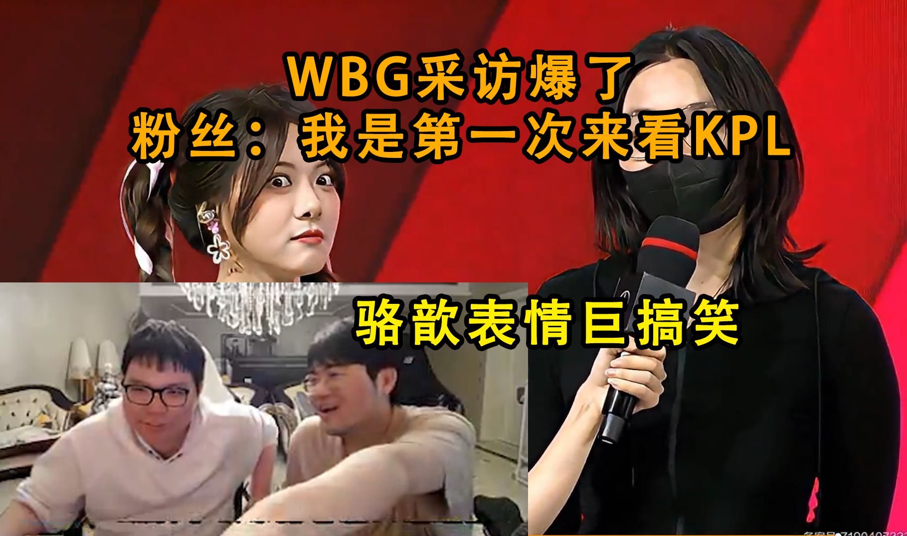 姿态AJ看WBG采访粉丝爆炸发言：我今天第一次来看KPL。骆歆表情亮了