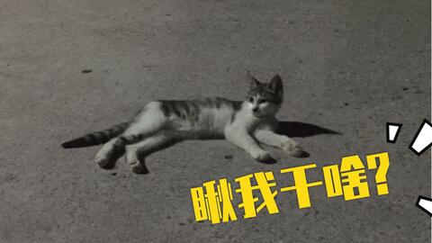 117f1d1f3d4f8744bd87030a79ce1e8360d969a5.jpg@480w_270h_1c