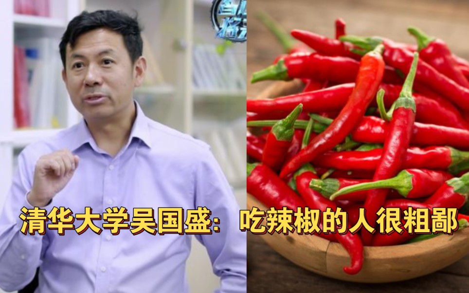 清华大学吴国盛说：喜欢吃辣椒的人都很粗鄙，只有穷人才吃辣菜！