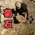 河边发现巨型菊石化石，费了九牛二虎之力才挖出，能值多少？
