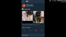 11a71f601e7b5063dfa5002f552c15eb6026396c.jpg@280w_158h_1c_100q.jpg