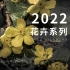 配色灵感03—2022花卉系列高级感配色
