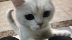11bc49012a2608f9bb62d4cb185f2ce4865d47d3.jpg@280w_158h_1c_100q.jpg