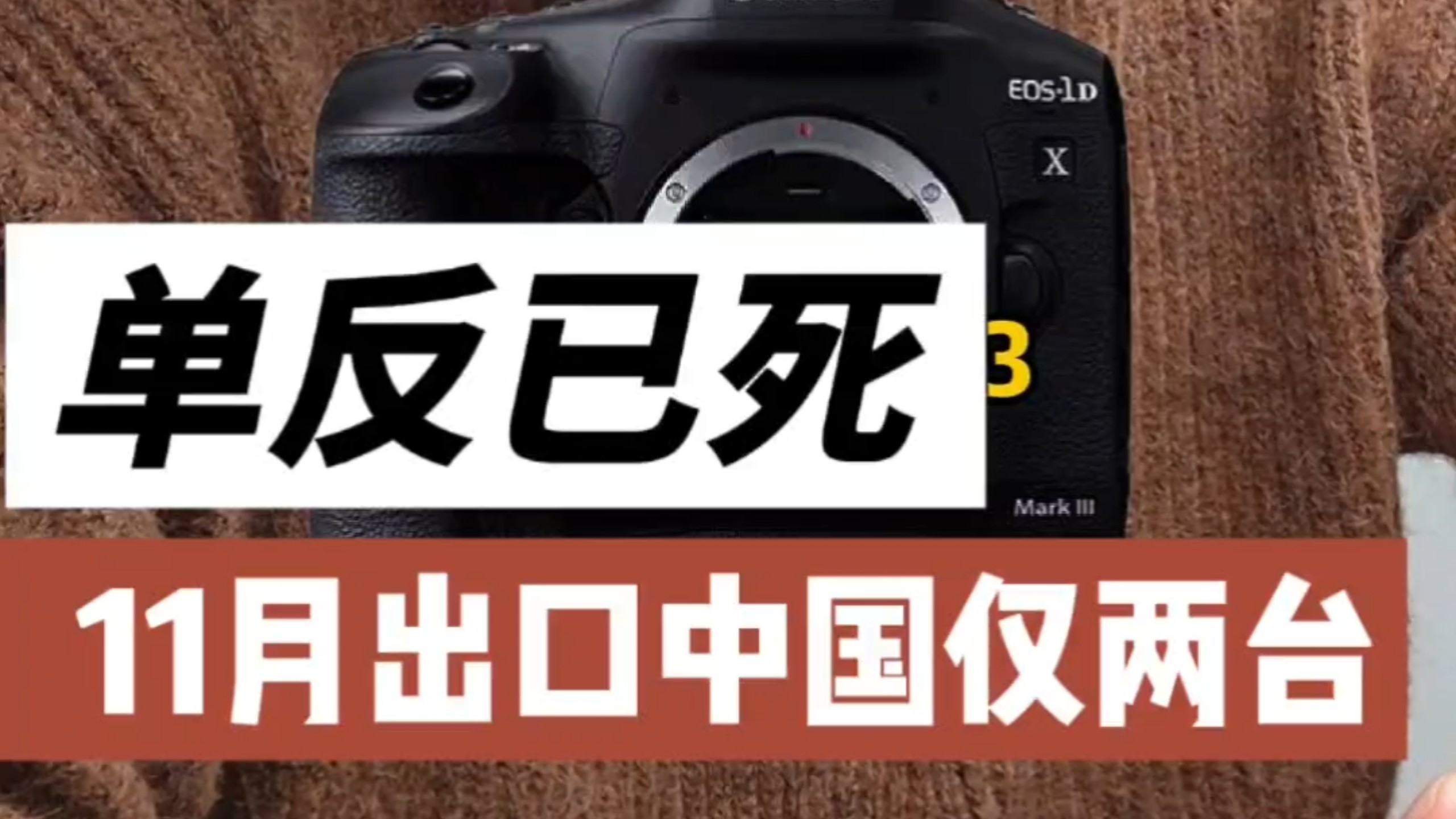 单反已死！ 11月单月出口中国仅2台