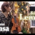 【Ayasa】小提琴版《Lemon》（米津玄师）