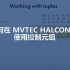 如何在 MVTEC HALCON 中使用控制元组