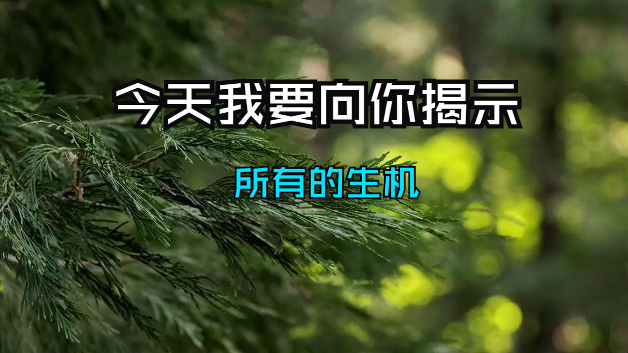 宇宙开启：今天我要向你揭示所有的天机！宇宙允许了！