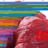各省肉类产量排行（单位：万吨）