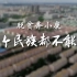 【时政微视频】习近平：宁夏再看脱贫 一个民族都不能少