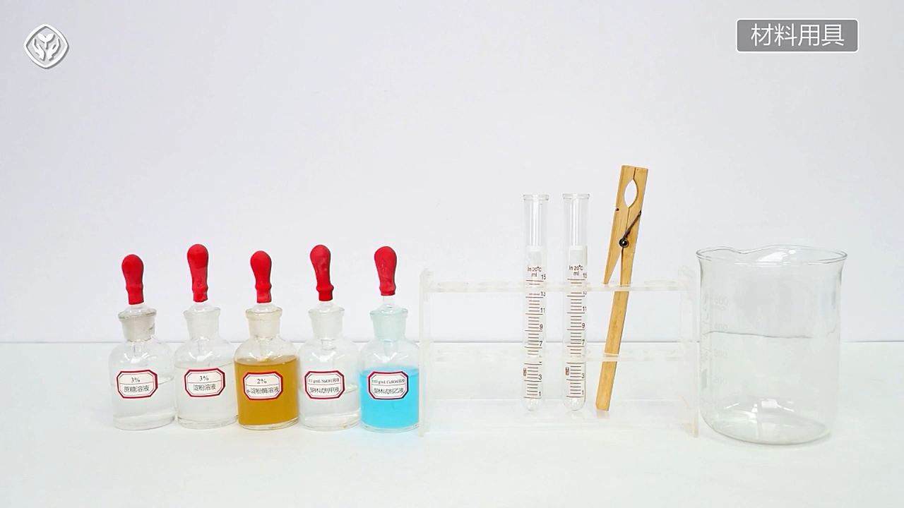 1_5.1.2 淀粉酶对淀粉和蔗糖的水解作用