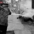 放狗咬人，水枪冲击，美国警察对游行黑人实行暴力《我是马丁·路德·金》