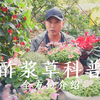 酢浆草科普，全方位介绍，新手也能养爆盆
