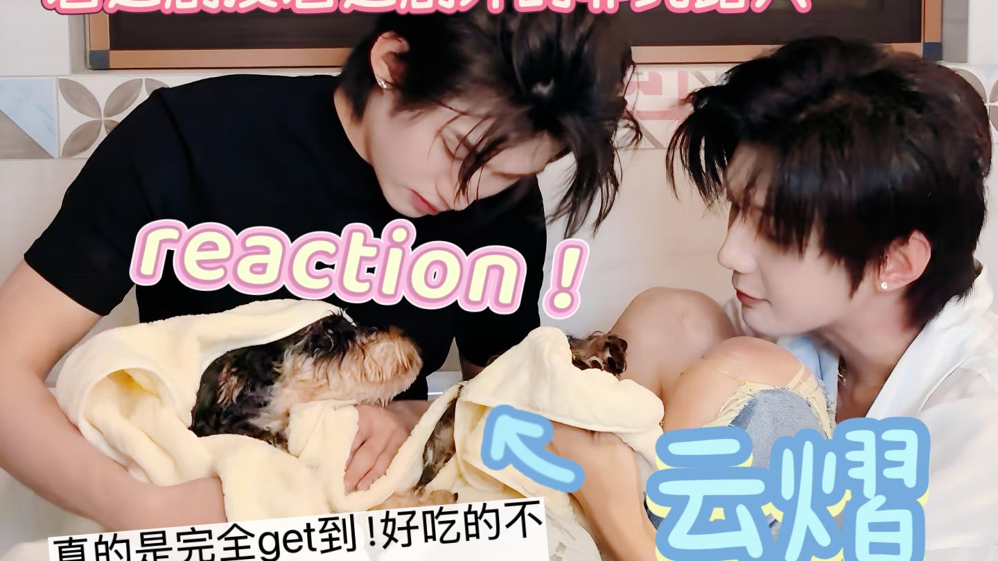 【云熠reaction】爱上狗姐只需一秒！看过剧没看过剧外的非纯路人re！狗粮已吃饱，且吃的很香的一个状态