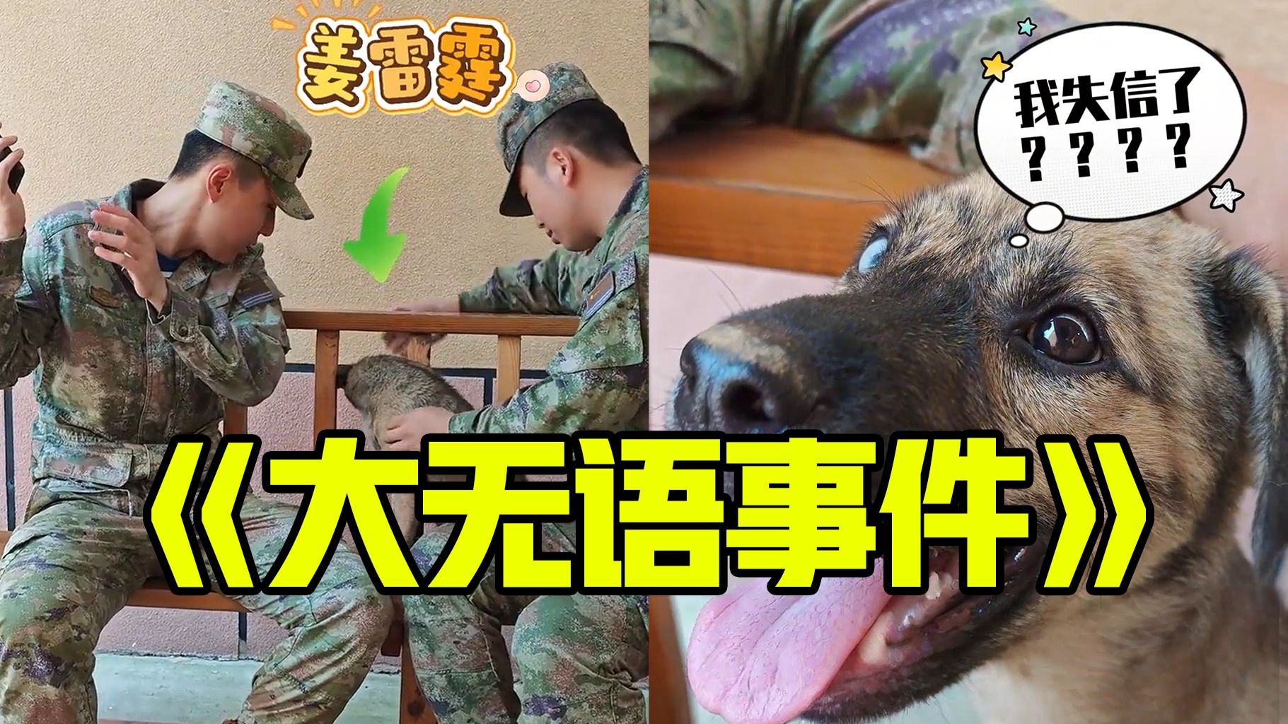离谱！狗子被催五万网贷