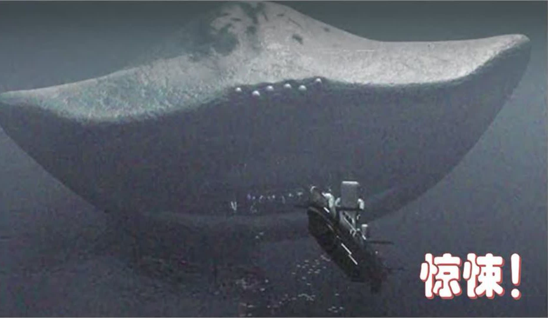 美航局在海底拍到这个令人毛骨悚然的巨型生物，吓坏了专家们