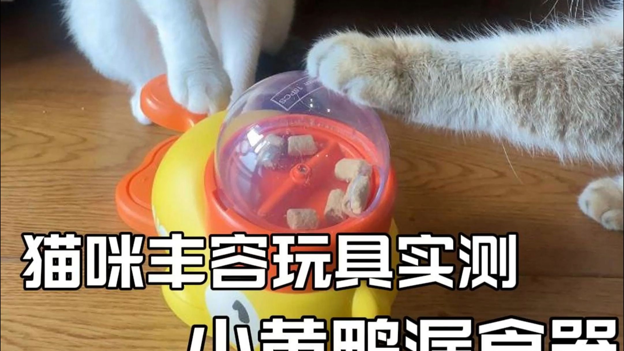 猫咪丰容玩具实测-小黄鸭漏食器
