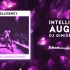 Intelligency - August (Dj DimixeR Remix) | Official Audio