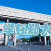 学在郑大