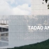 【Enscape】TADAO ANDO | House in chicago 安藤忠雄 | 芝加哥住宅