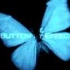 【夜伊】Butterfly Kiss
