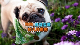 135896620d0d45abb987cc28f4883d71d8c34b13.jpg@280w_158h_1c_100q.jpg
