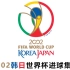 2002韩日世界杯进球集锦