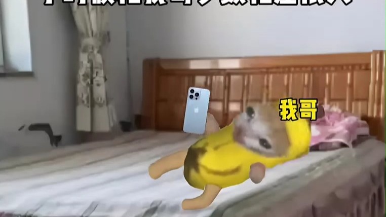 小时候跟我哥岁数相差很大时