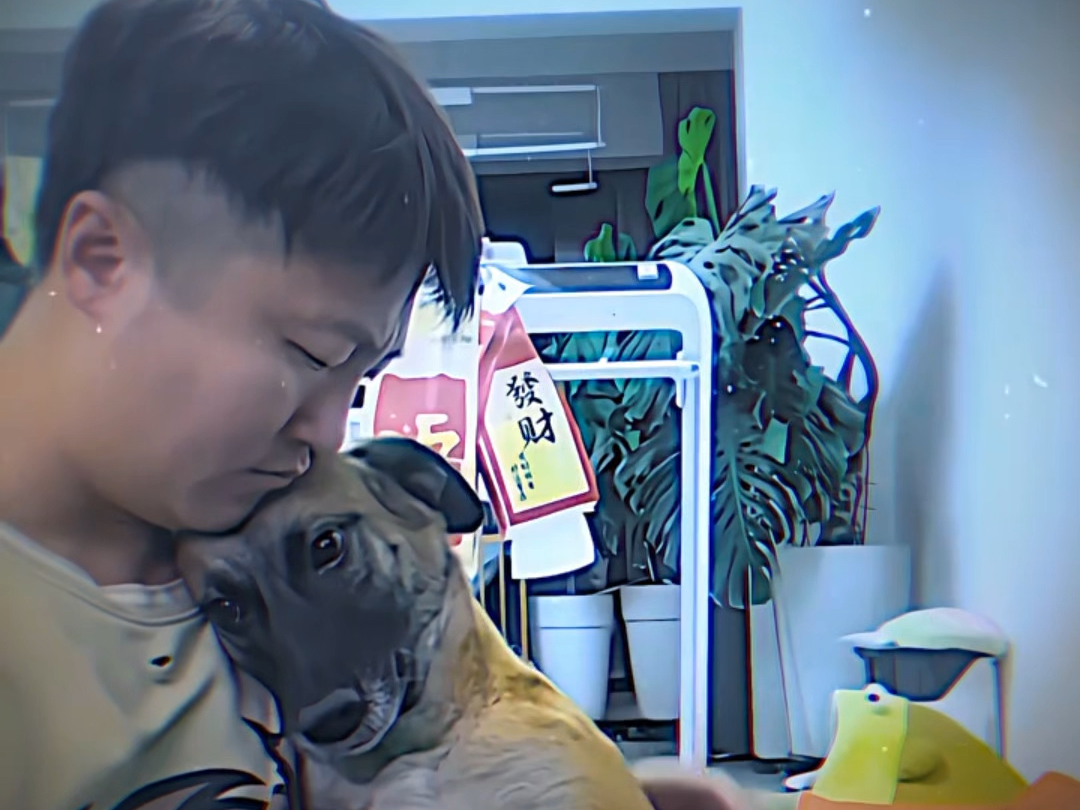 一个家里养了二只狗反差这么大呢
