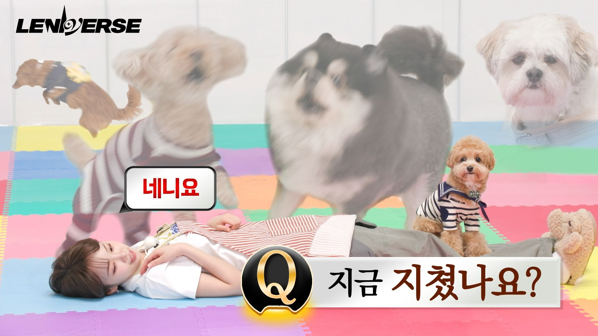 字幕下载
