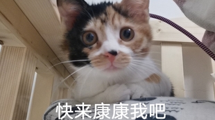 13bd2d3e2346e886e8ca5c68ff4ac393a1ca621b.jpg@310w_174h_1c_100q.jpg