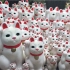 招财猫到底源自中国还是日本？日本豪德寺为何供奉千记招财猫！