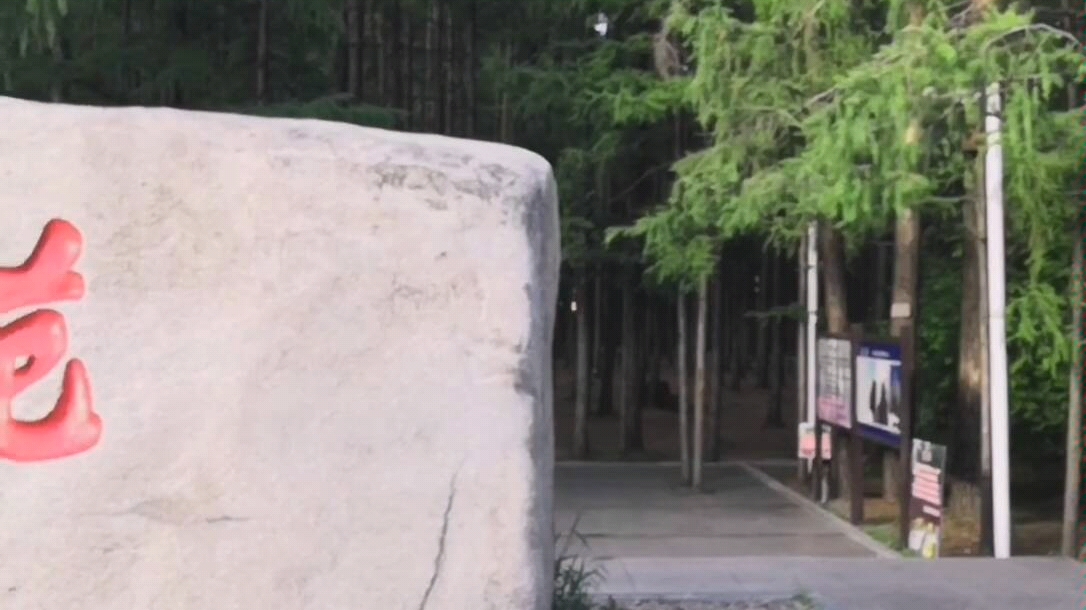 漠河松苑公园光影