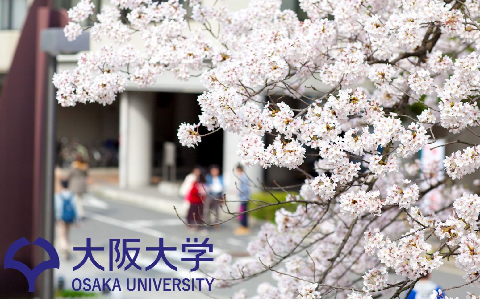 大阪大学2018年留学宣传——少年,要不要来大阪大学看花花