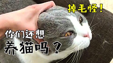 13ef79f2e71d00677882ea29732de5c5be985654.jpg@480w_270h_1c