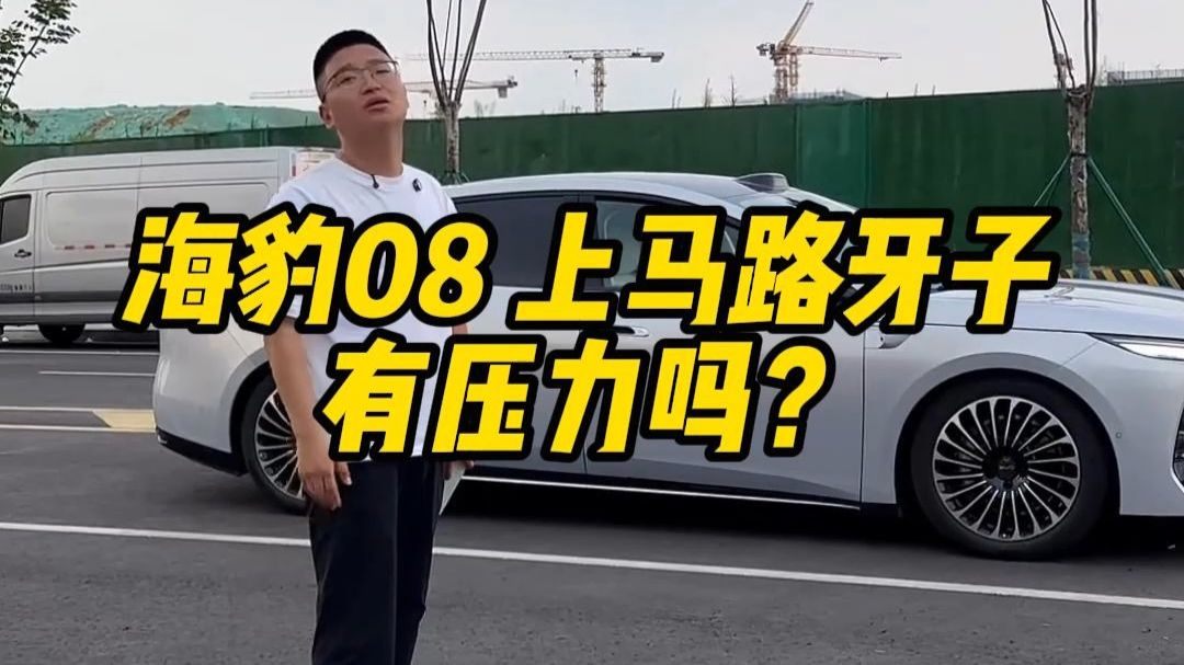 海豹08 上马路牙子 有压力吗？