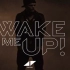 【伴奏】Avicii ft. Aloe Blacc - Wake Me Up