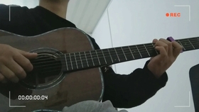 白月光和朱砂痣曲谱吉他_白月光与朱砂痣曲谱(4)