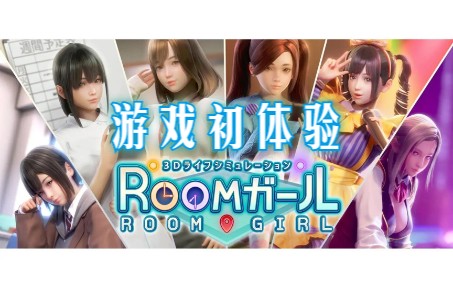 【暗夜】《RoomGirl/职场少女》游戏初体验