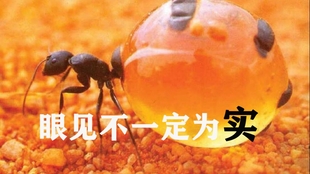 14495a8e81853752abaeb7022648e25989379bd7.jpg@310w_174h_1c_100q.jpg