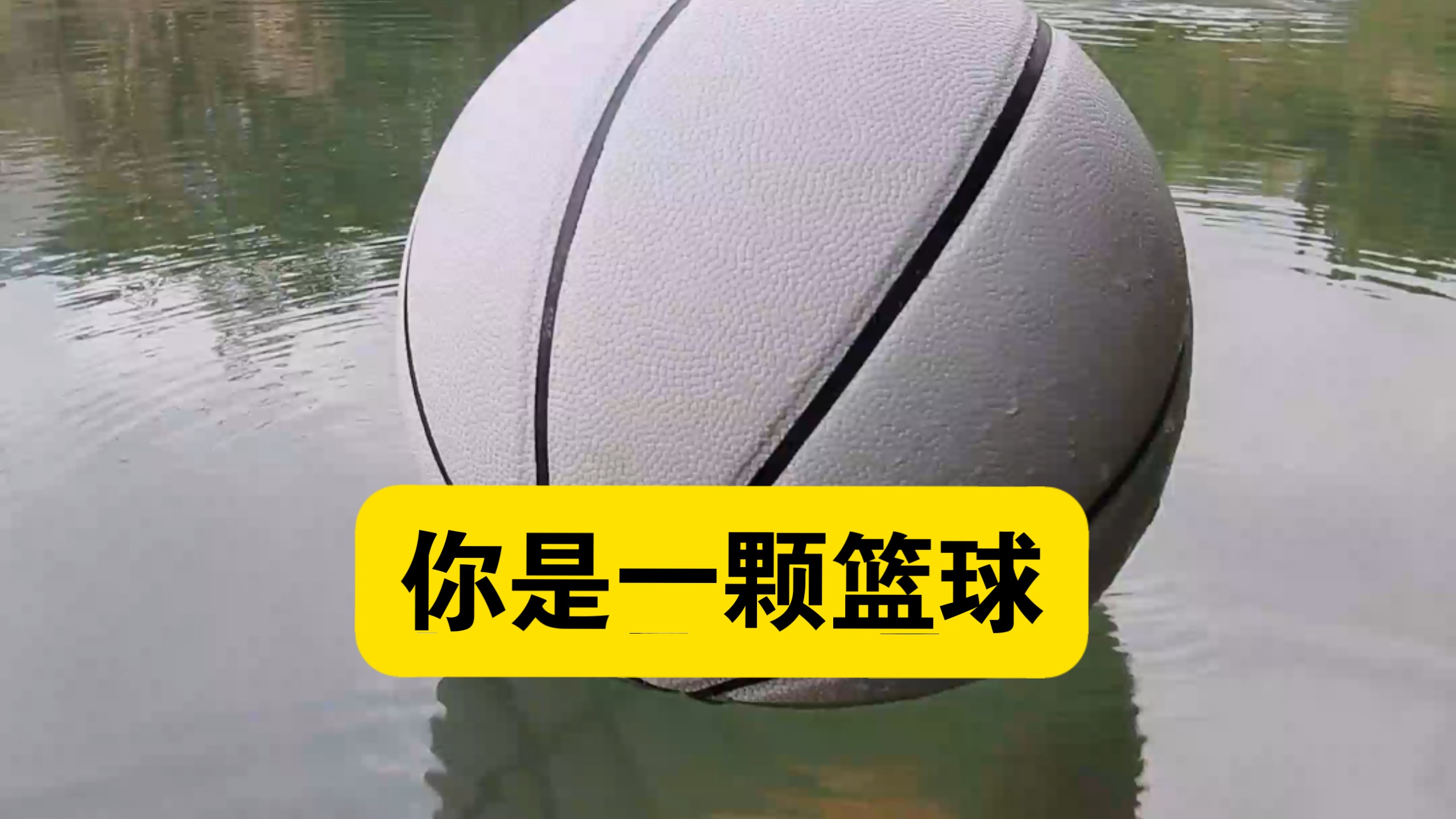 假如你是一颗篮球