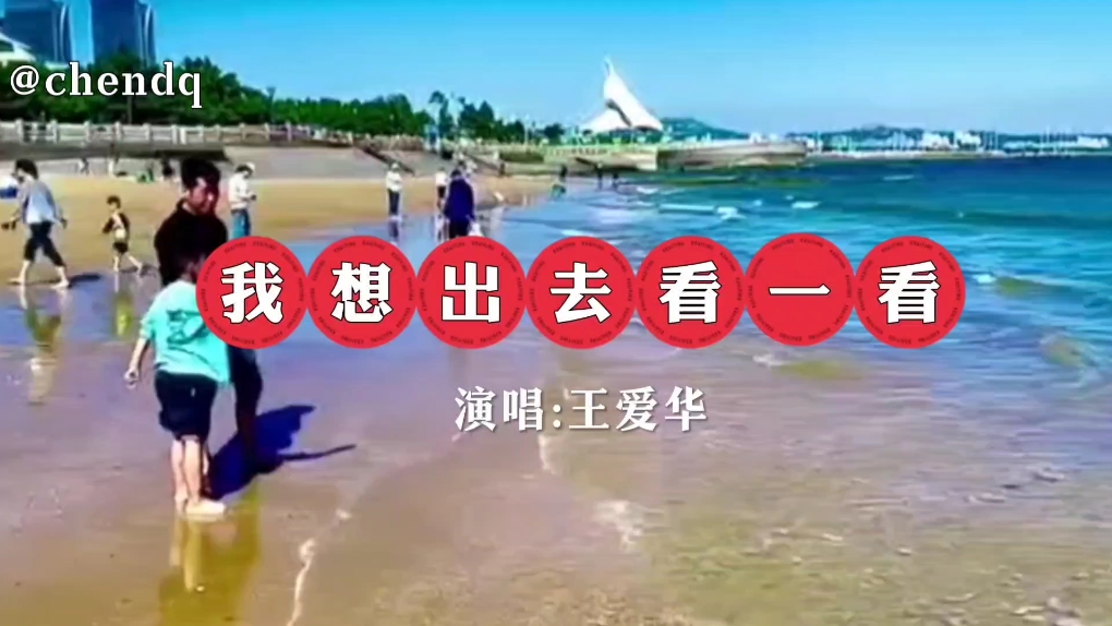 《我想出去看一看》演唱:王爱华