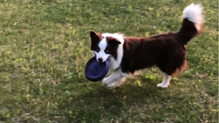 蜗牛的秘密 14571fb8b1c889385da4290e3c950406a6af683b.jpg@310w_174h_1c_100q.jpg