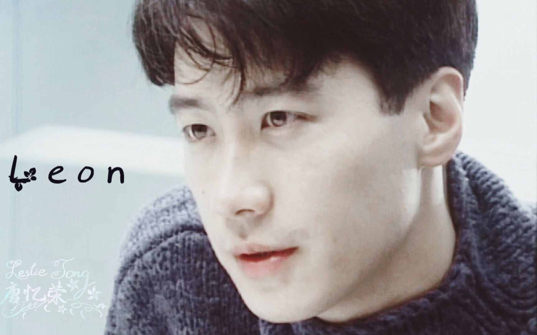 【黎明leon||影视剪辑】永远的白马王子,梦中情人||赠:沫颜小玲