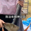 五一活动，妻子要给竹马儿子当妈妈