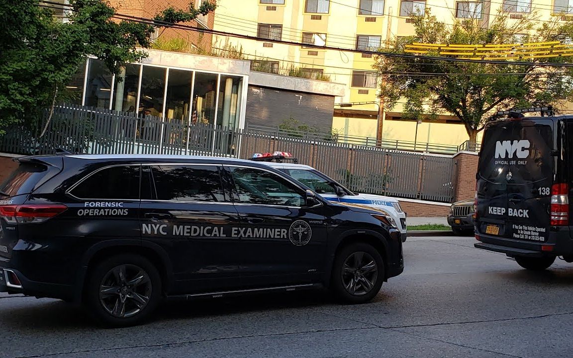 好看的法医电视剧