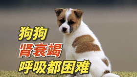 148220bf68250e18f1dbaeafeb1c64b6f8d69b61.jpg@280w_158h_1c_100q.jpg
