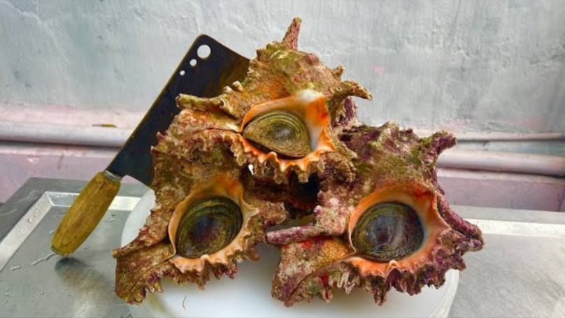 见识一下，越南人宰杀巨型海螺做美食，整个烹饪手法确实有点东西