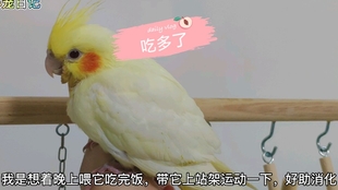 149bf0c5ba4d5e26be275fe552937f31bf1445fc.jpg@310w_174h_1c_100q.jpg