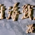1981年《淮海战役》真实影像记录片 中国人民解放军八一电影制片厂 (高清晰修复  添加字幕)